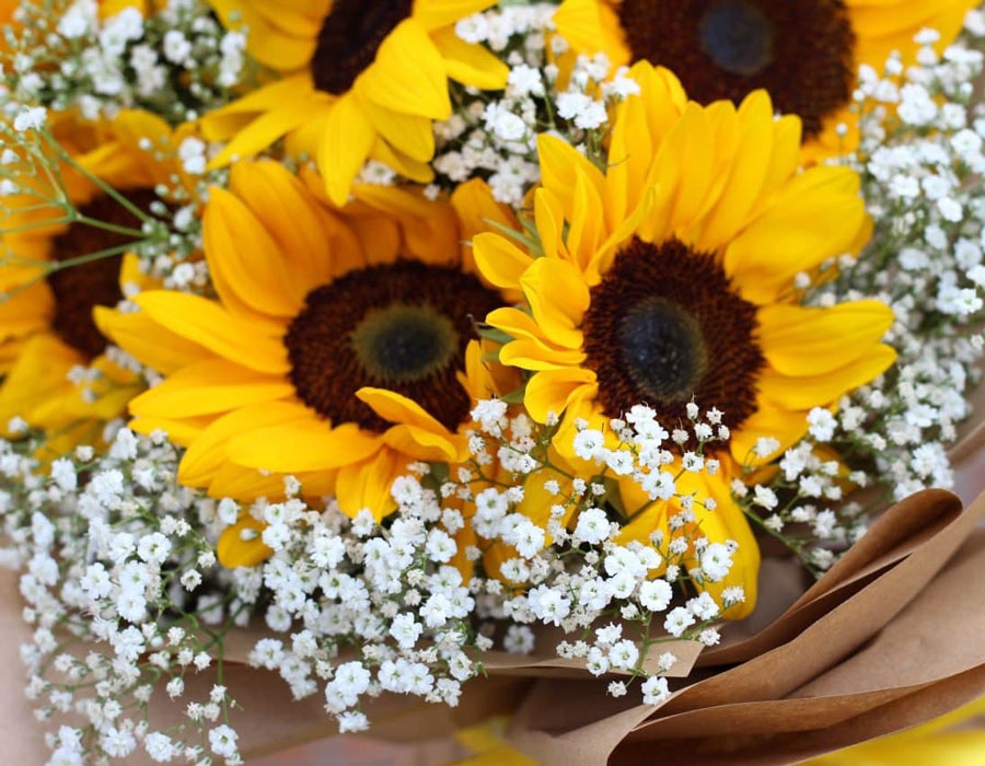 فروش آنلاین گل در گلِیف خرید دسته گل آنلاین ارسال رایگان گل در تهران سفارش تاج گل با ارسال رایگان فروش سبد گل تازه آنلاین گل‌فروشی آنلاین با ارسال فوری خرید گل طبیعی و تازه با ارسال رایگان گل‌های مناسبتی با ارسال رایگان خرید آنلاین گل برای تولد خرید گل مناسب هدیه آنلاین گلِیف، گل‌فروشی اینترنتی معتبر ارسال سریع دسته گل عروس سفارش گل آنلاین با تحویل درب منزل خرید گل با بسته‌بندی شیک و ارسال رایگان ارسال رایگان تاج گل برای مراسم فروشگاه آنلاین گل و گیاه با ارسال رایگان گل‌فروشی آنلاین ارزان با ارسال رایگان سفارش آنلاین گل برای مراسم ختم گل تازه با ارسال رایگان در تهران و کرج تاج گل golif گلیف سبد گل دسته گل زیبا لاکچری شیک ارسال فوری رایگان سریع تهران کرج گلِیف، بهترین گل‌فروشی آنلاین با ارسال رایگان golif گلیف